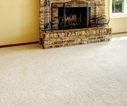 Carpet Cleaning Forest Lake