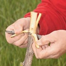 Grafting Made Simple