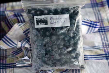 Preparation for Freezing Your Fresh Berries