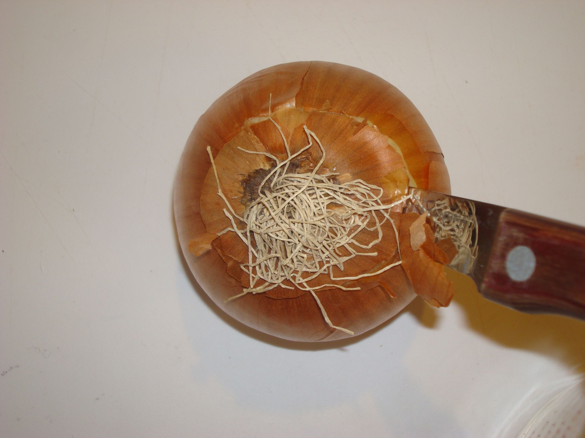 How to Cut an Onion Without Crying 6 Steps Instructables