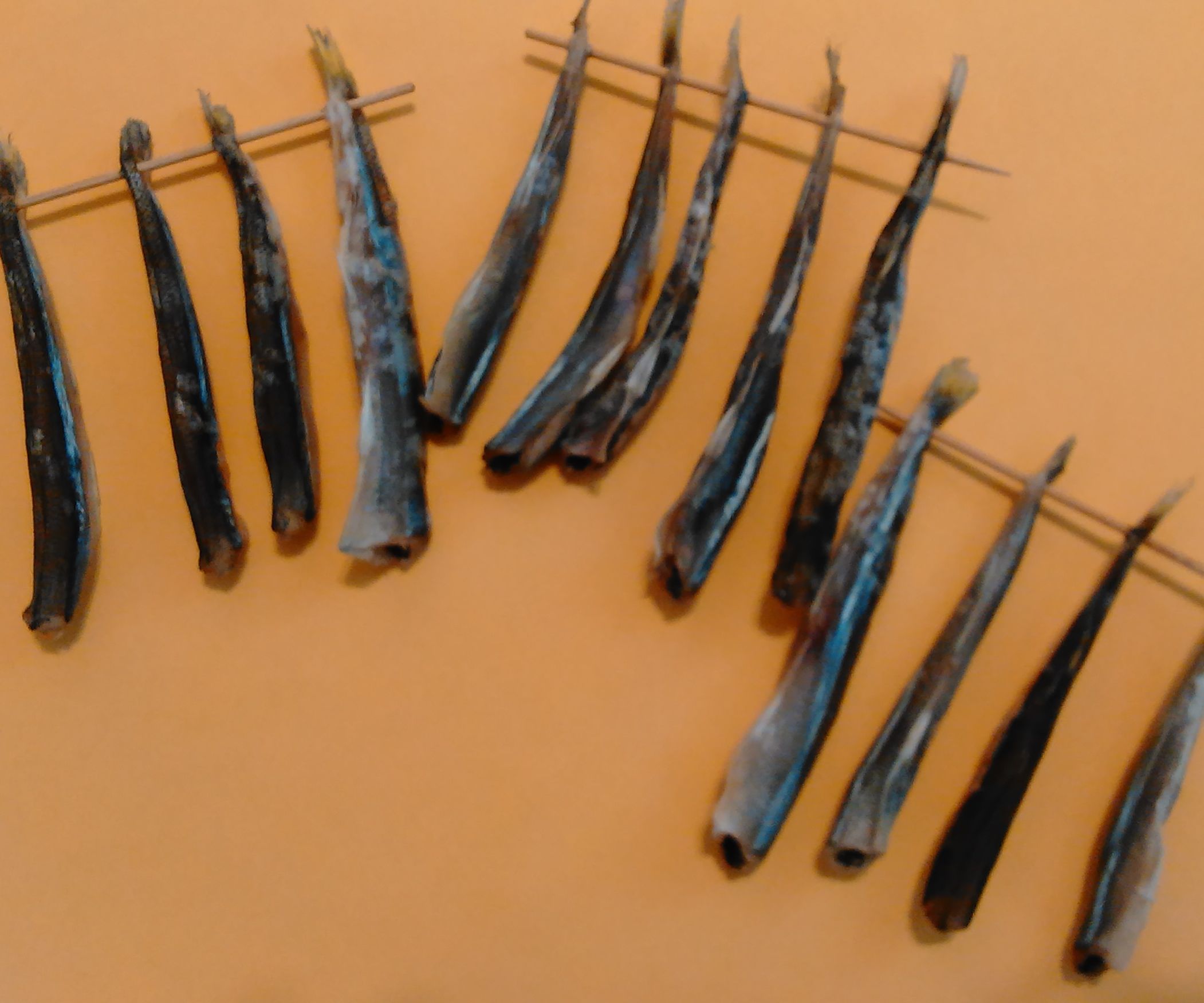 Taranka (Salted and Dried Fish)