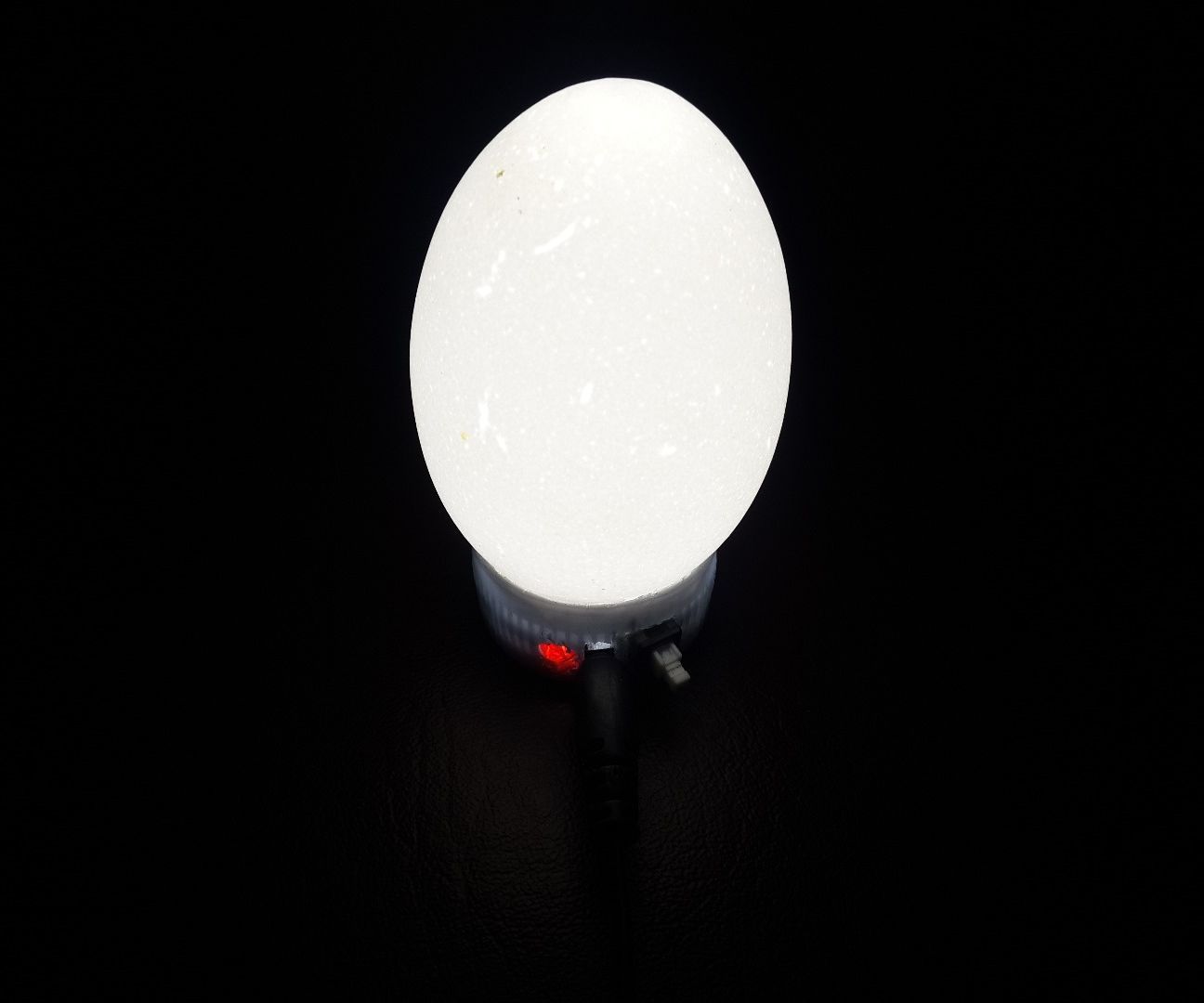 Glowing Egg