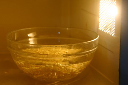 How Are Maruchan Ramen Noodles Made?