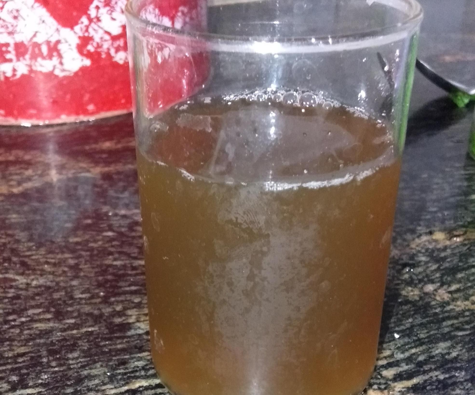 HOW TO MAKE REFRESING PUDINA JUICE