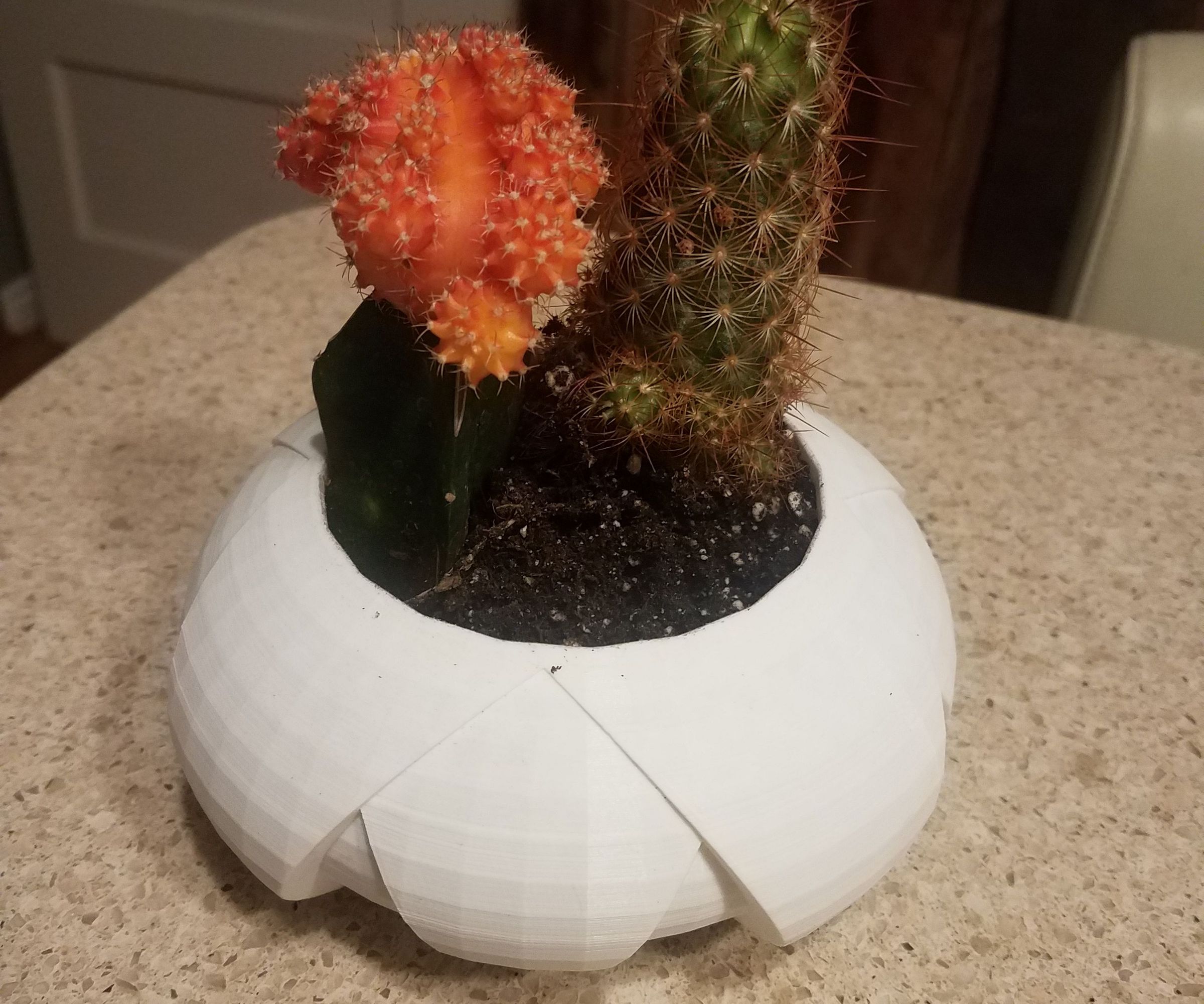 3D Printed Planter W/Tinkercad