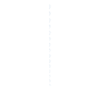 download {{ file.name }}