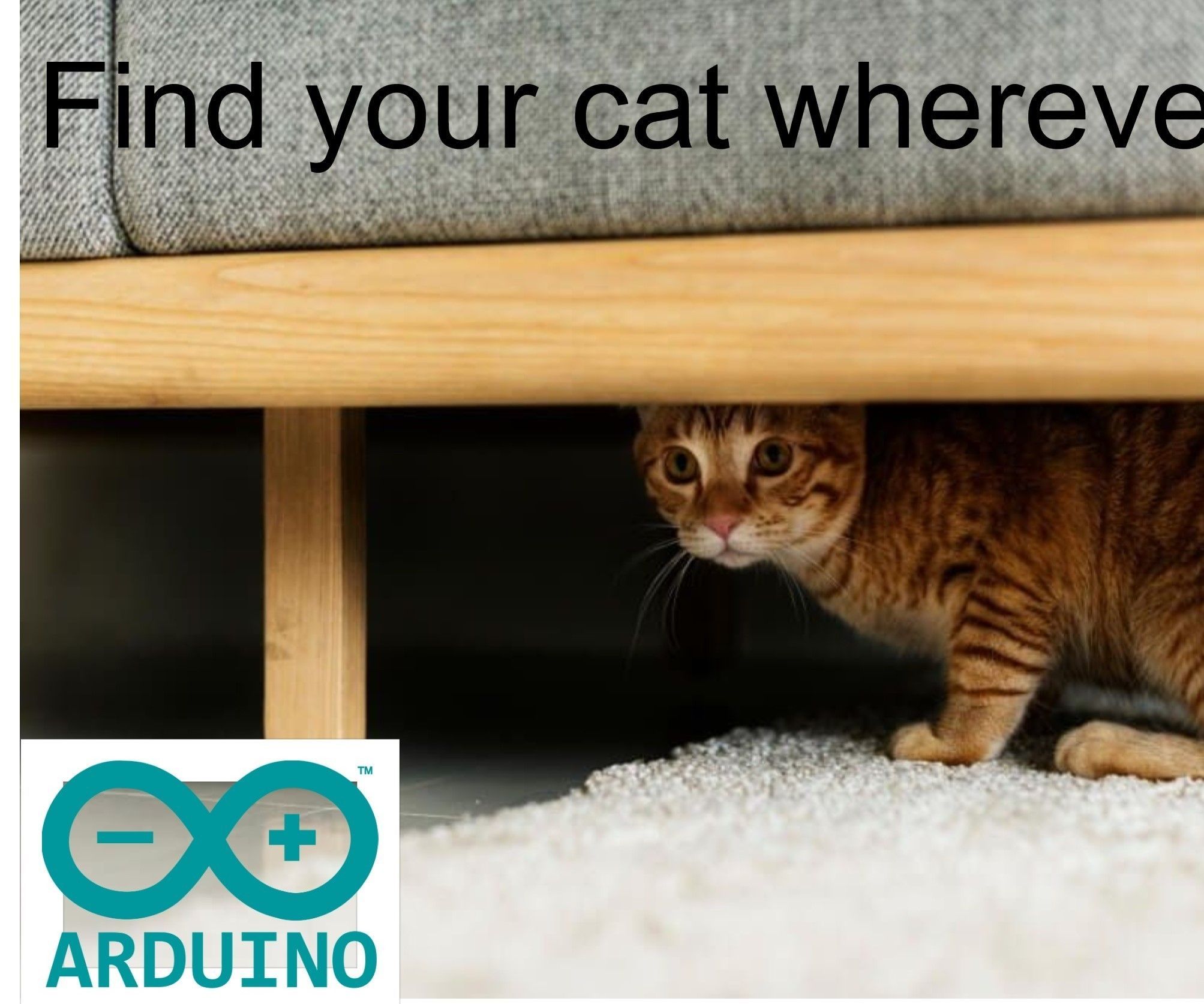 Kitty Finder