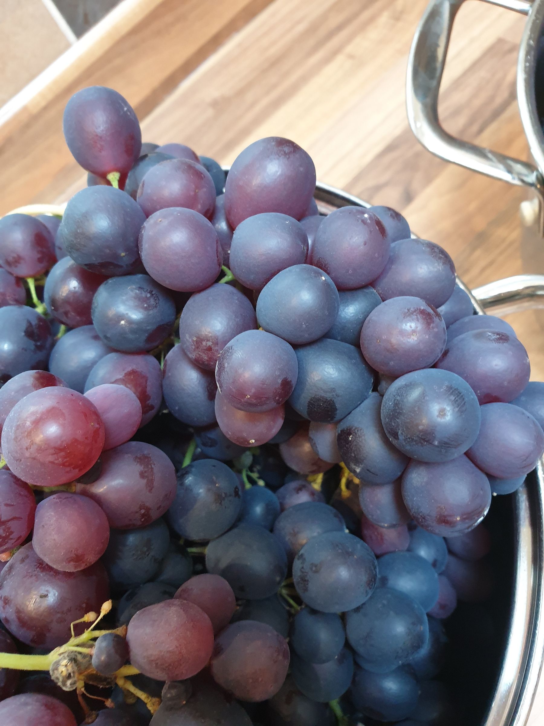 How to Make Your Own Wine From Grapes at Home 20 Steps (with Pictures
