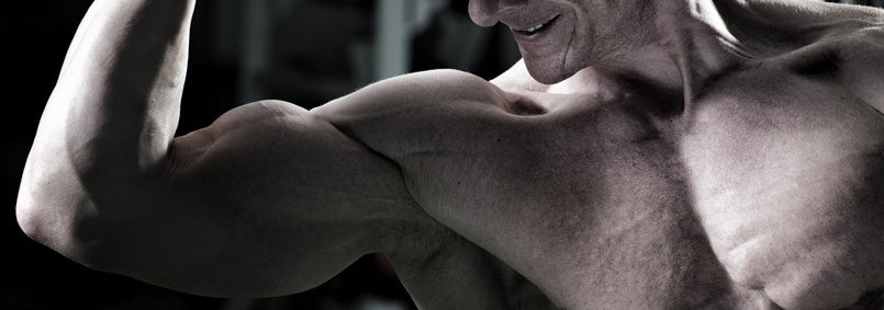 Maximum Shred Review