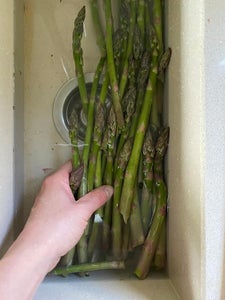Cleaning Asparagus 