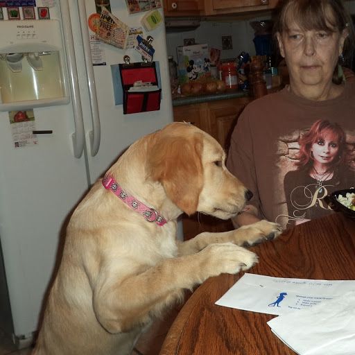 author