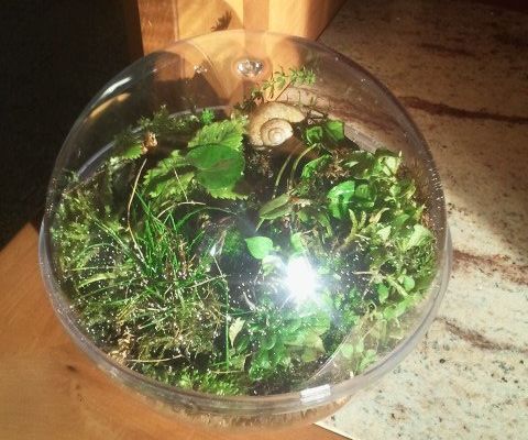 Portable Space-Orb-Garden