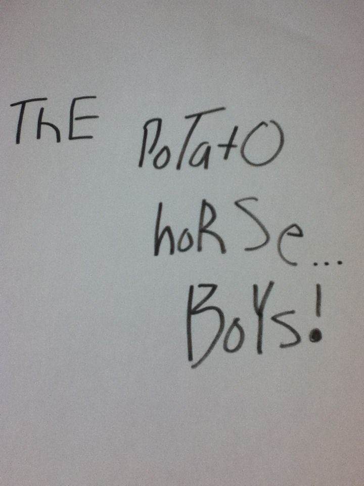 Potato Horse... BOYS! 2