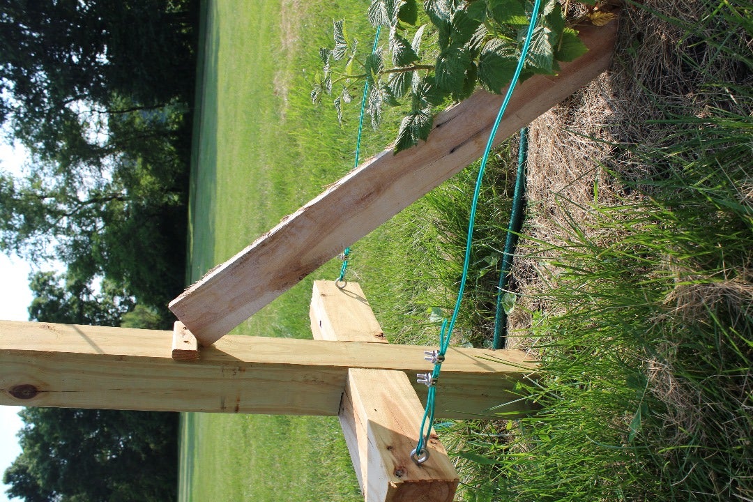 Brace Posts (optional)