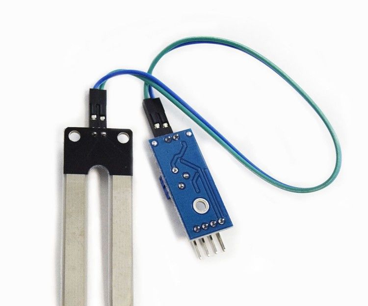 Automated Watering System