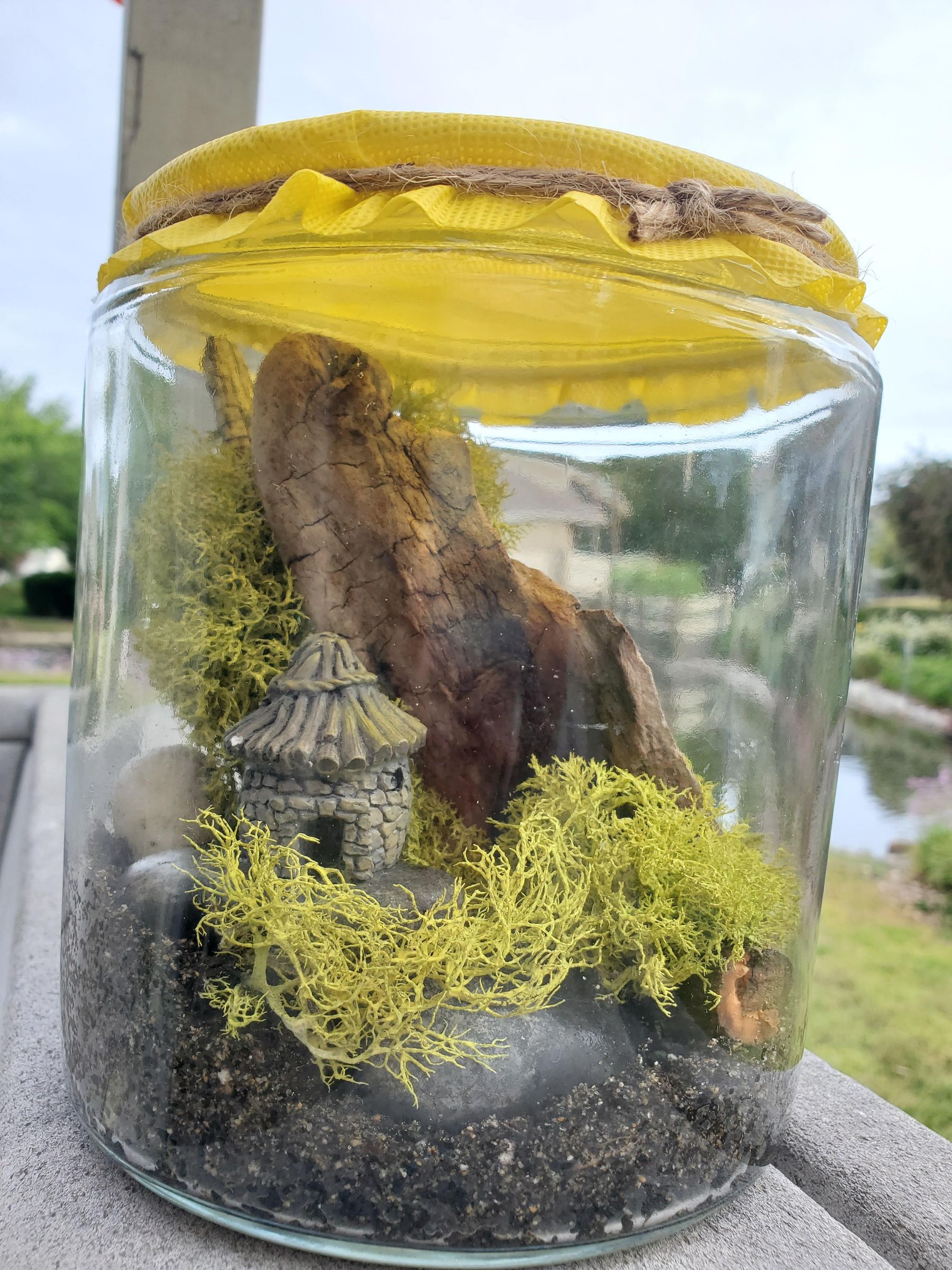 DIY Closed Moss Terrarium 6 Steps Instructables