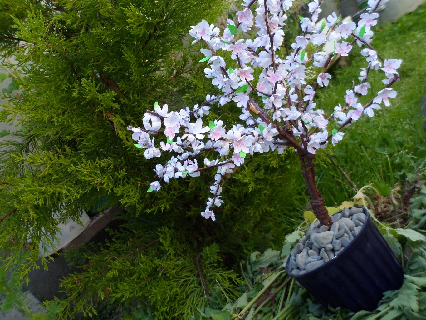 DIY Sakura - Cherry Blossom Tree With Paper (with Video)