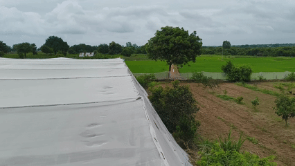 The Purpose of Wind Turbine