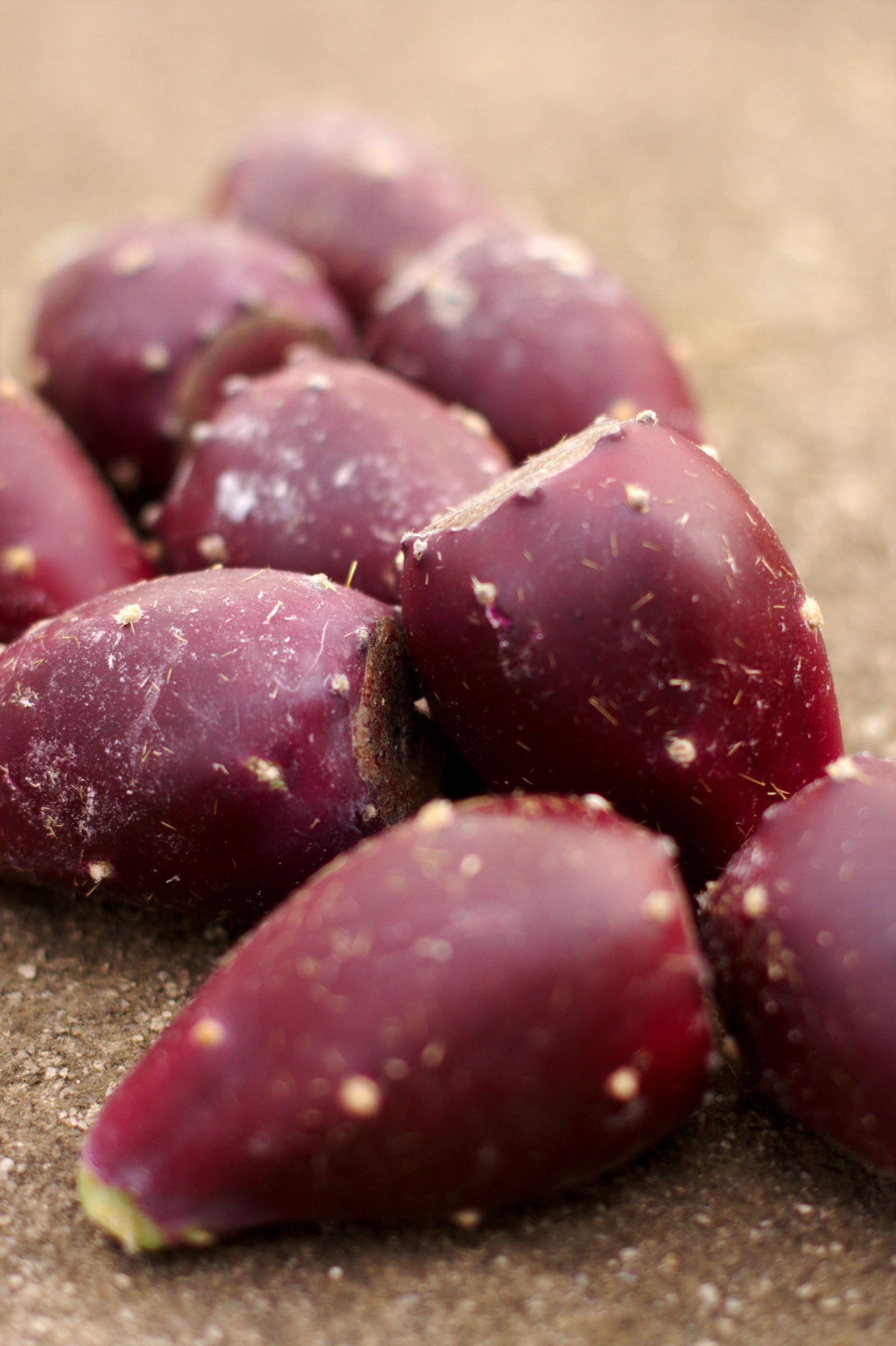 How to Prepare Prickly Pear