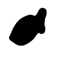 download {{ file.name }}