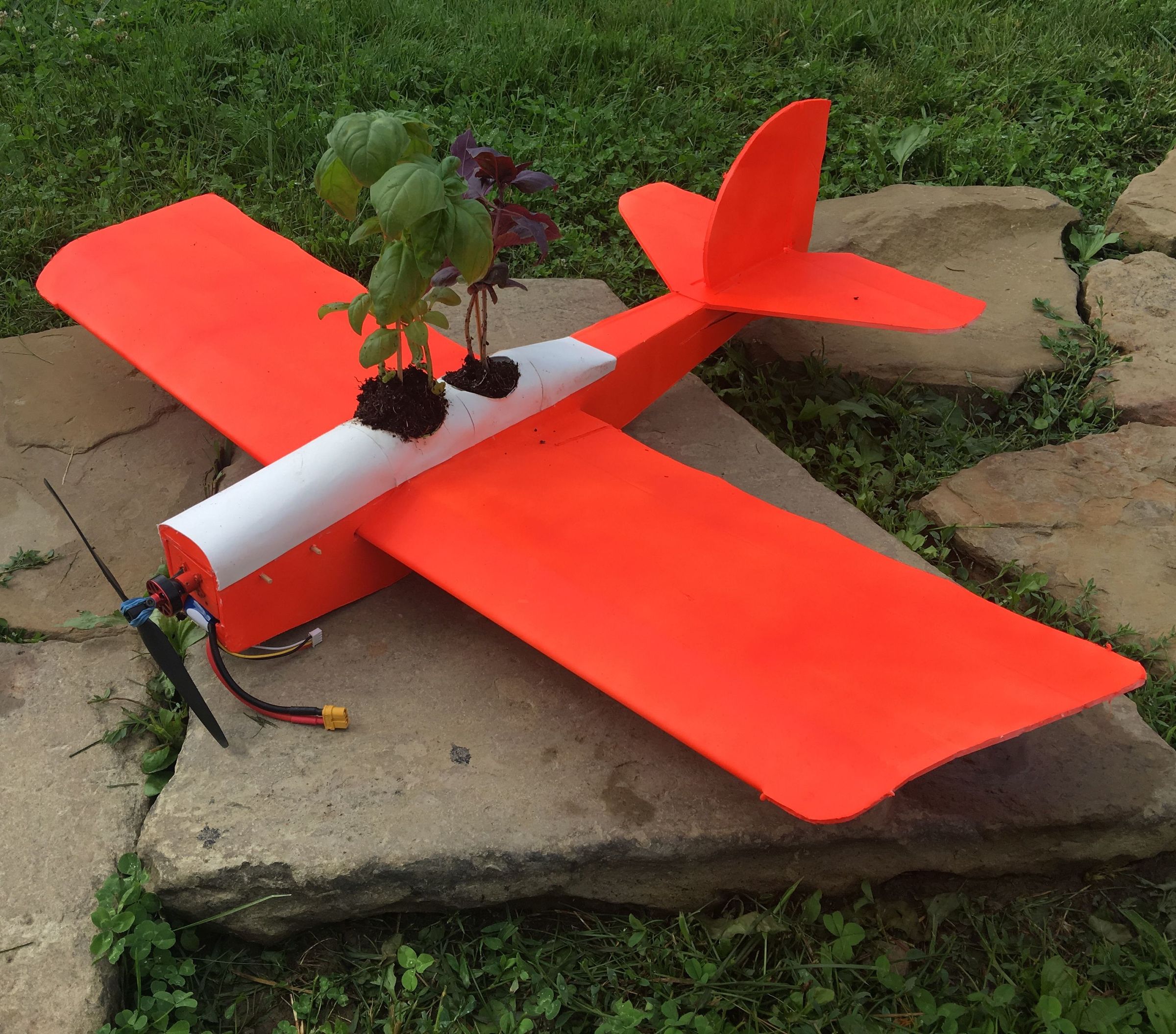 Rc Plane Planter