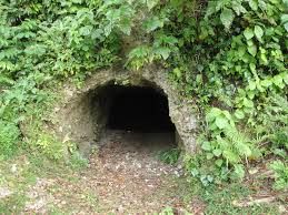 Shelter