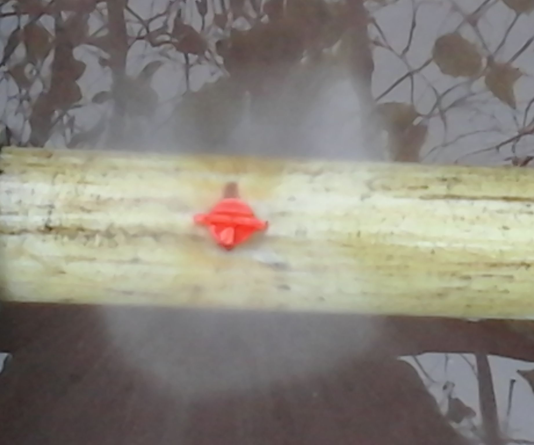 Sprinkler