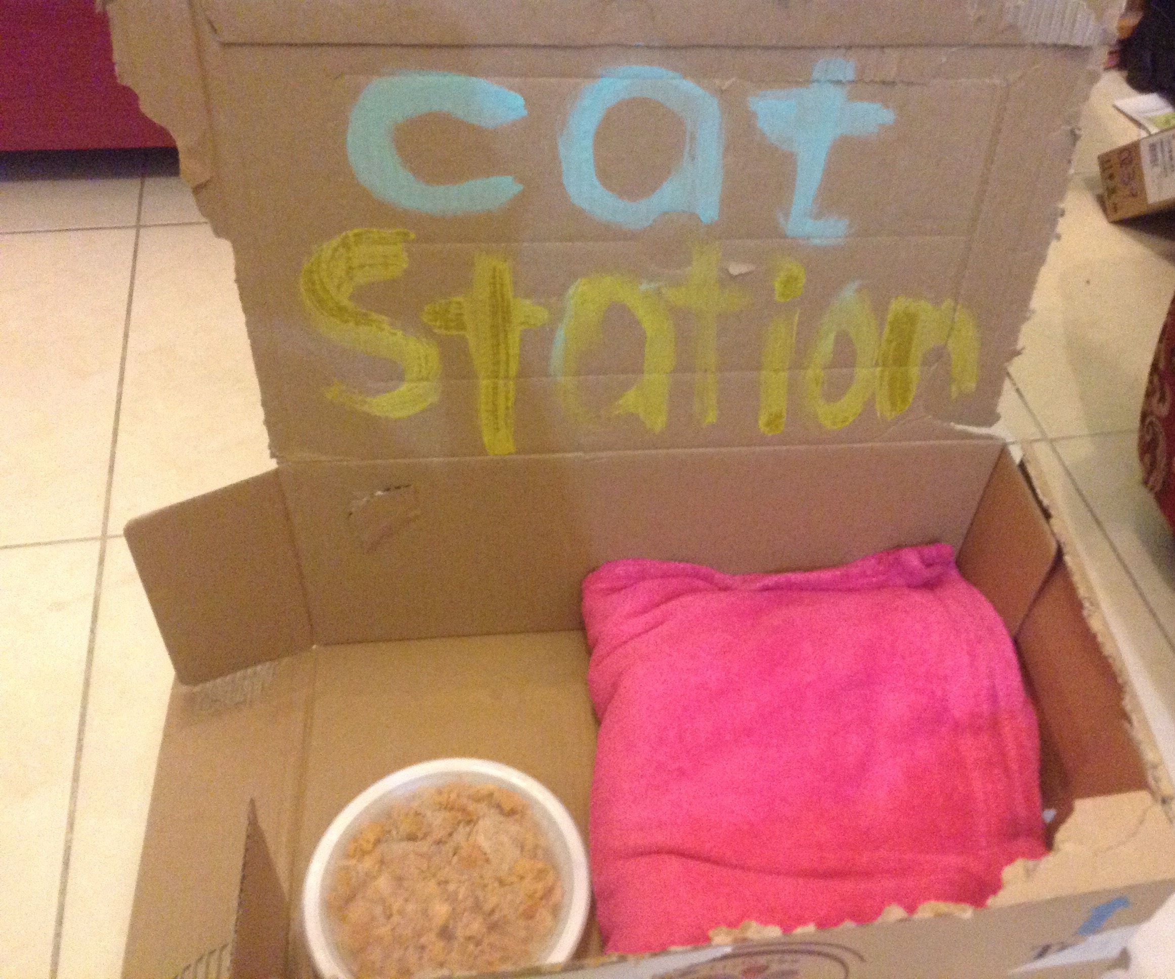 Cat Station