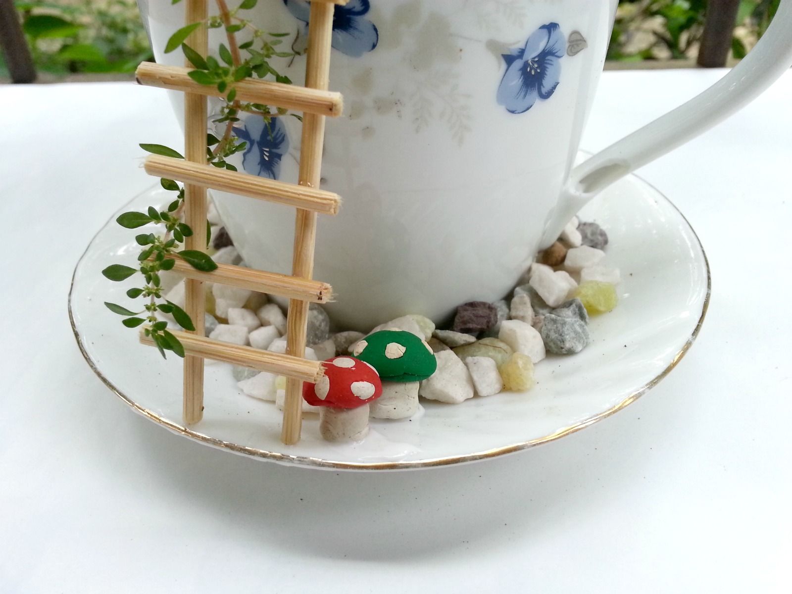 DIY Cup Garden : 9 Steps (with Pictures) - Instructables