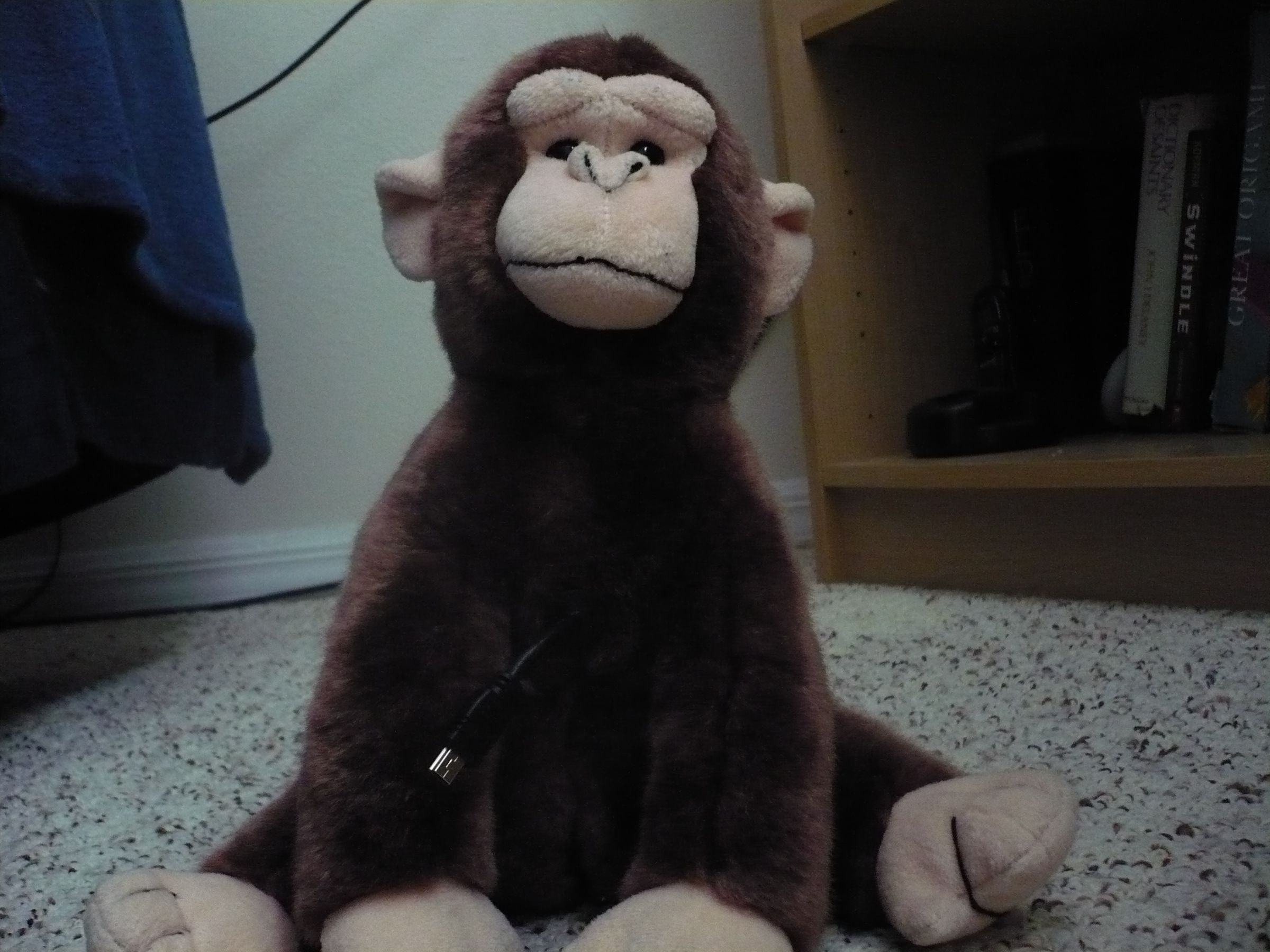 ruben the data pooping usb monkey