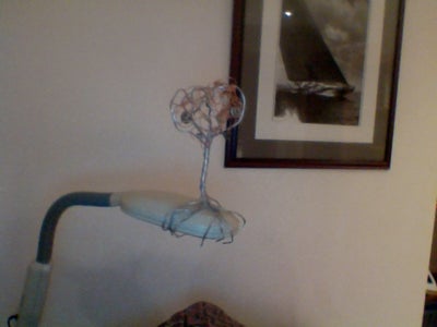 Find a Place to Plant Your Tree