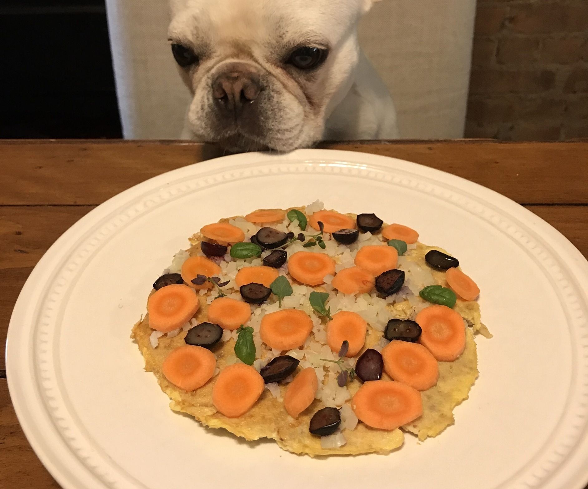 Puppy Pizza