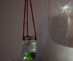Easy Hanging Aqarium/Terrerium