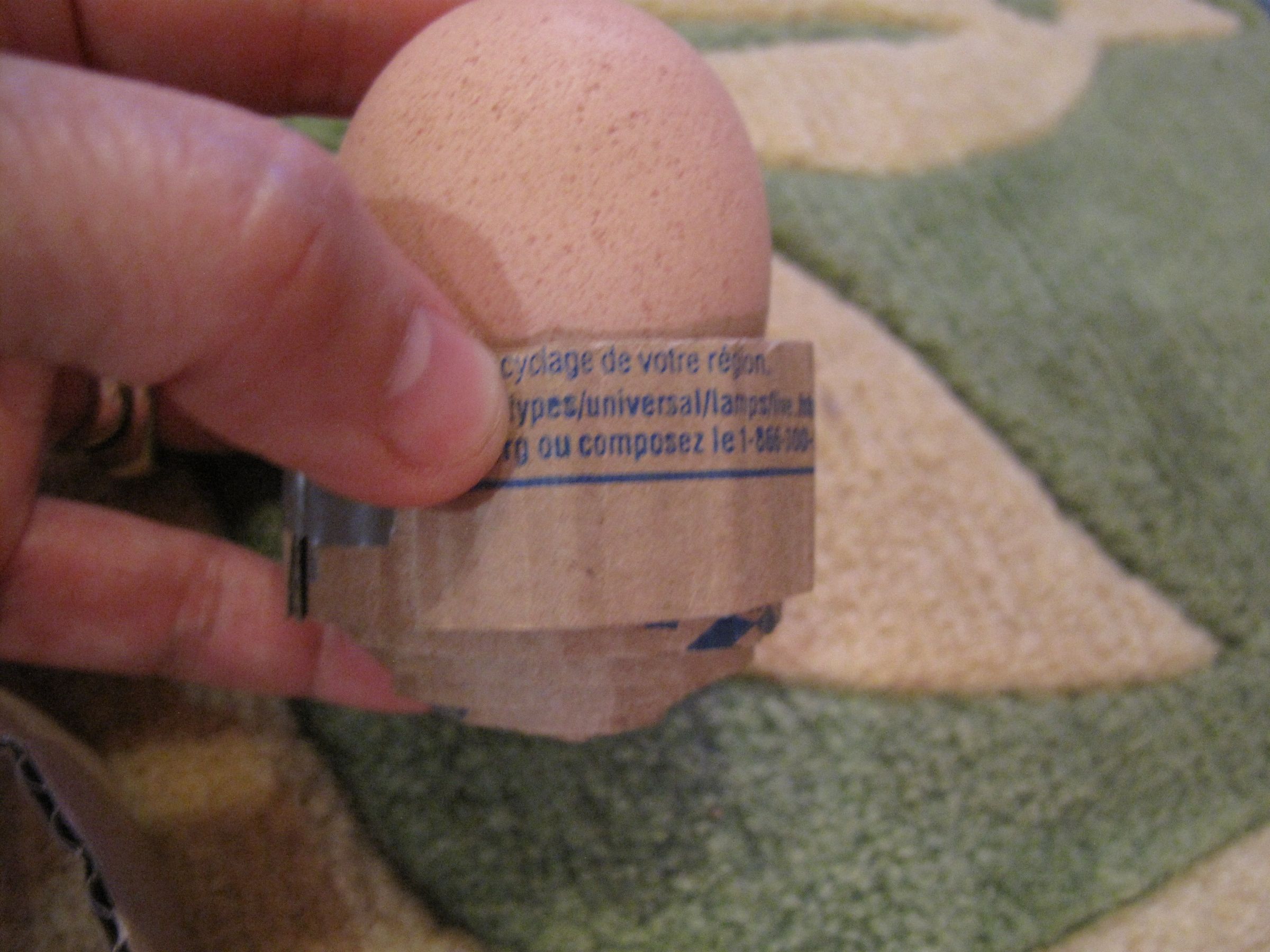 6Pack Egg Carrier With Encapsulated Eggs! 11 Steps (with Pictures