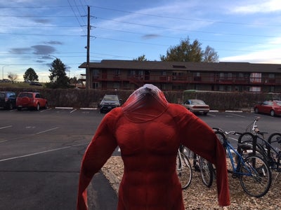 Painting the Suit