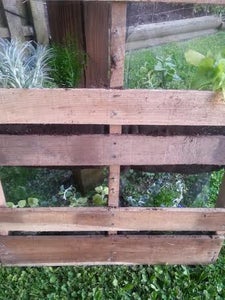 Instructions for Creating a Living Wall