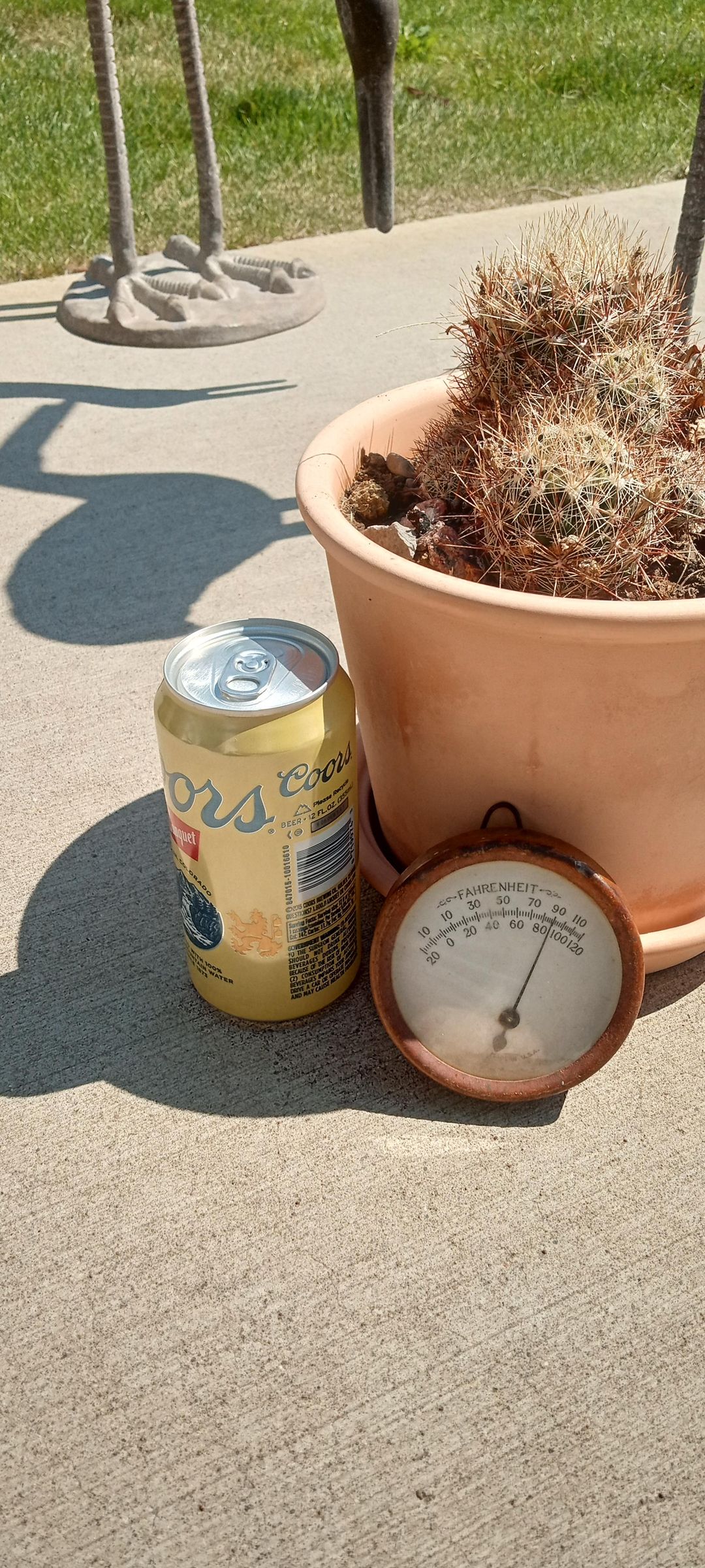 Quickly Cool a Beer on a Hot Day