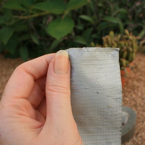 Remove Cactus Thorns With Ease - Instructables