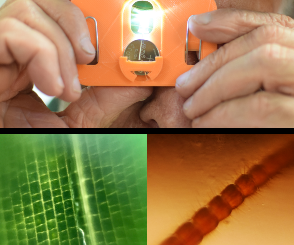 The $1 Pocket Microscope - Explore the World Around You at 80x and 140x!