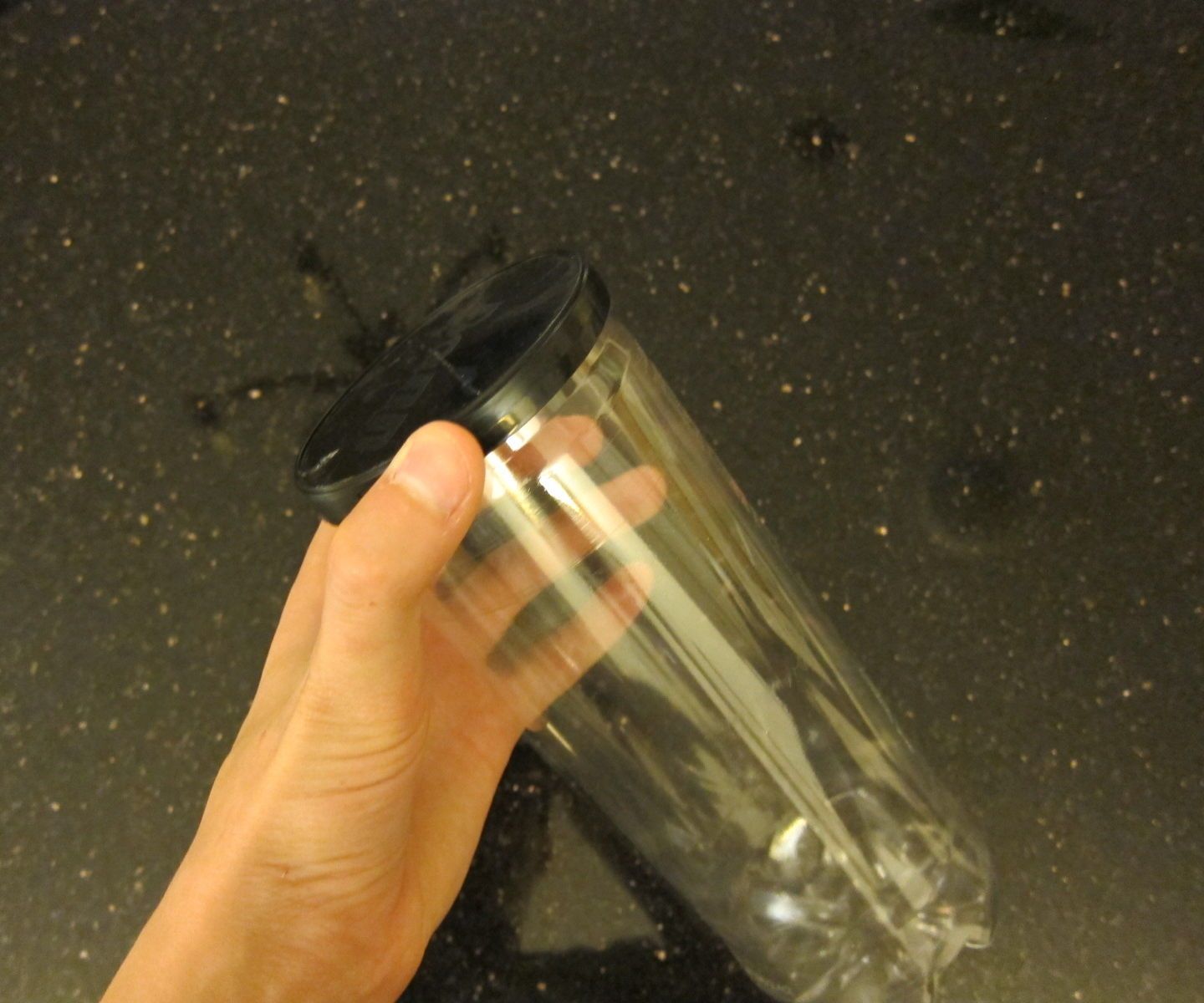 Grasshopper/Insect Container