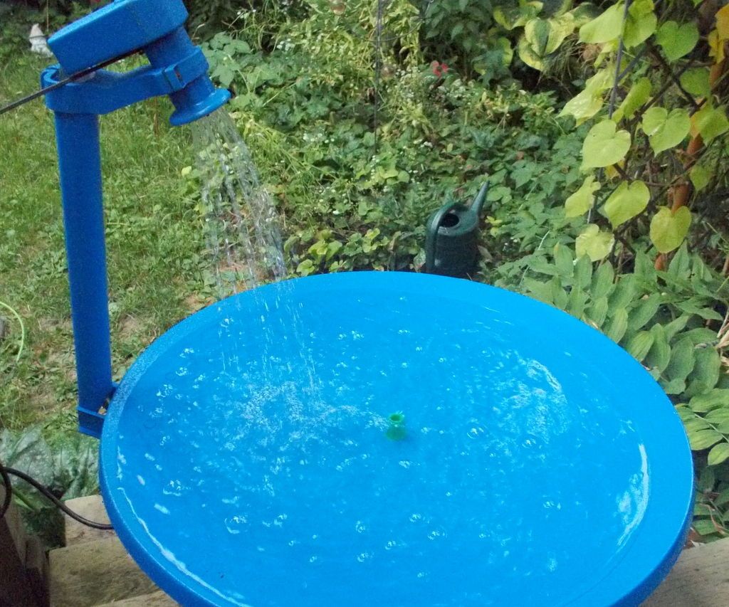 Satellite Bird Bath/Pond and an Update