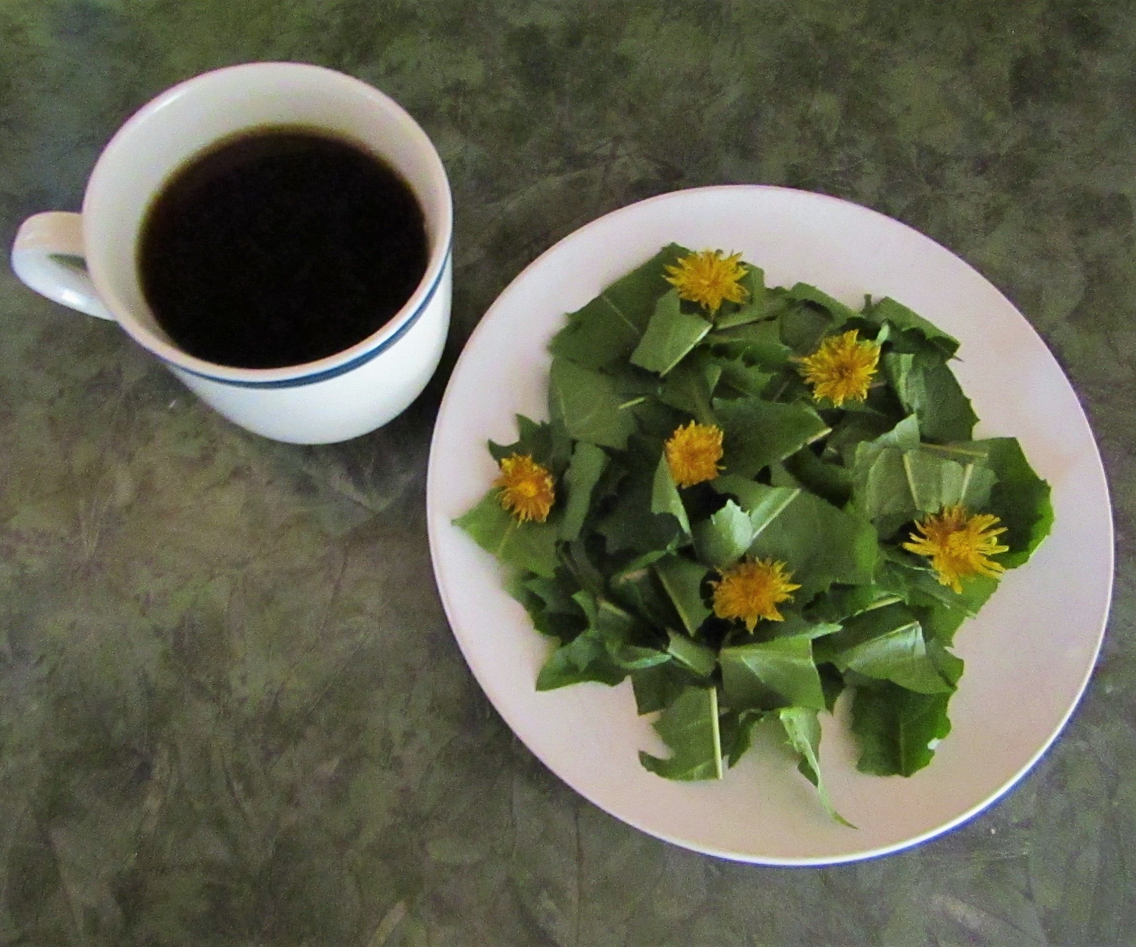How to Eat a Dandelion