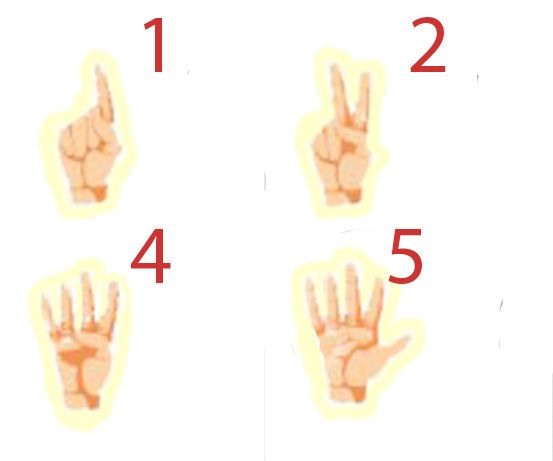 How to Play Crazy Cricket