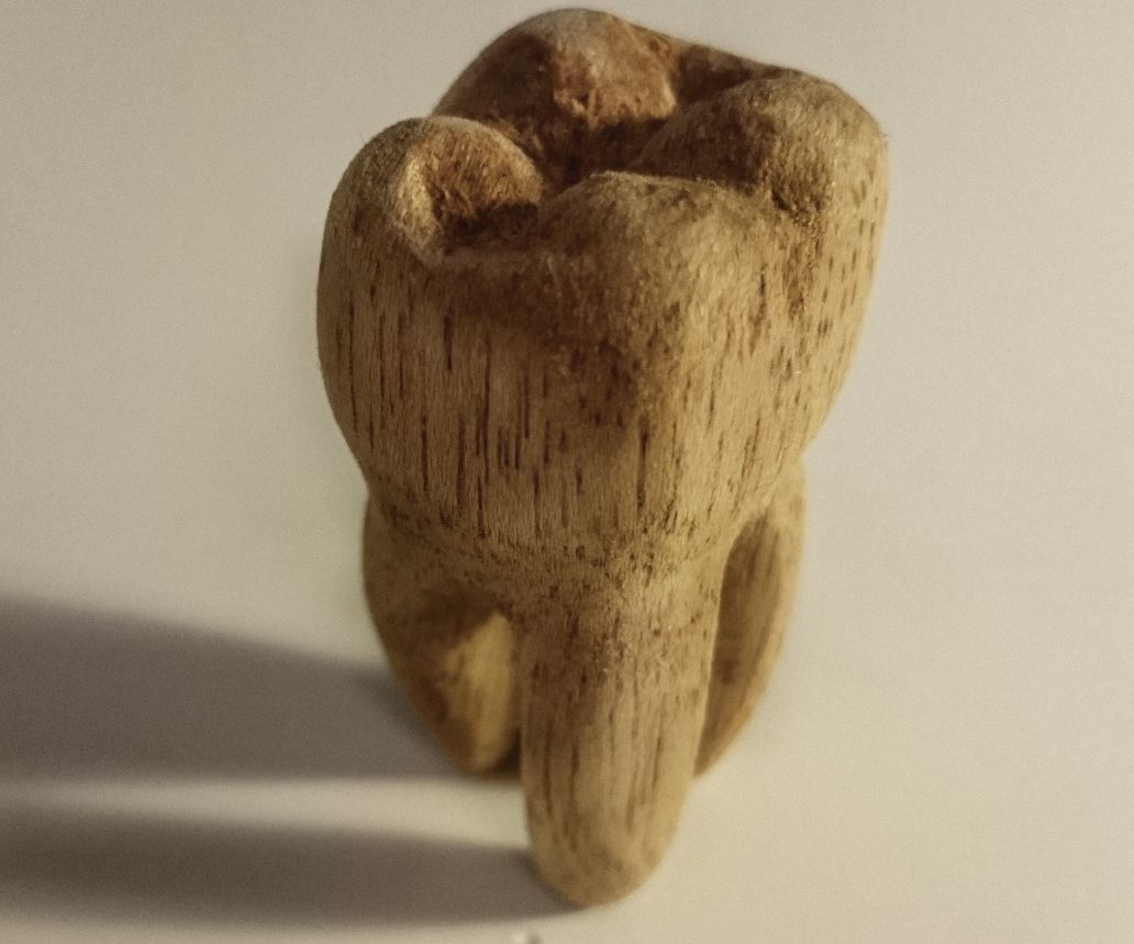 Carved Wooden Tooth