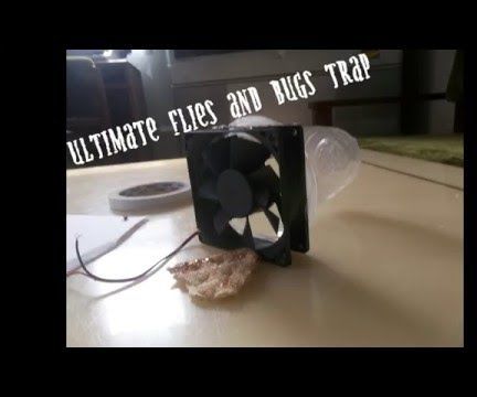 Ultimate Flies and Bugs Trap, How to Make Flies Trap