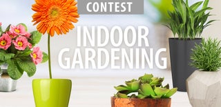 Indoor Gardening Contest 2016