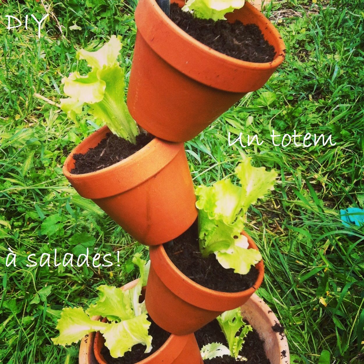 DIY express : vertical garden