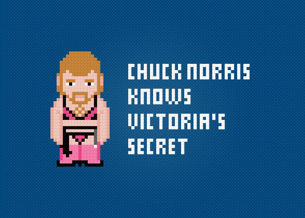 Chuck Norris and a Victoria's Secret - Free Cross Stitch PDF Pattern