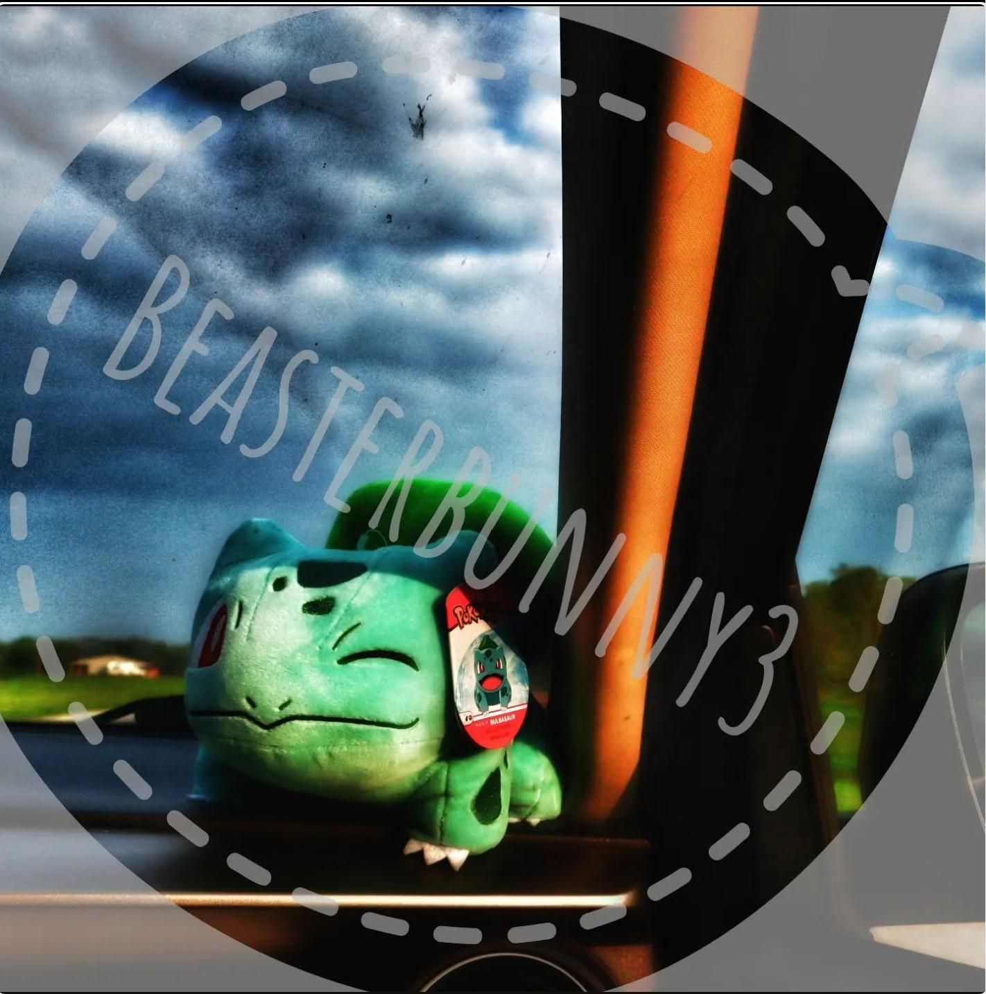 Beasterbunny3