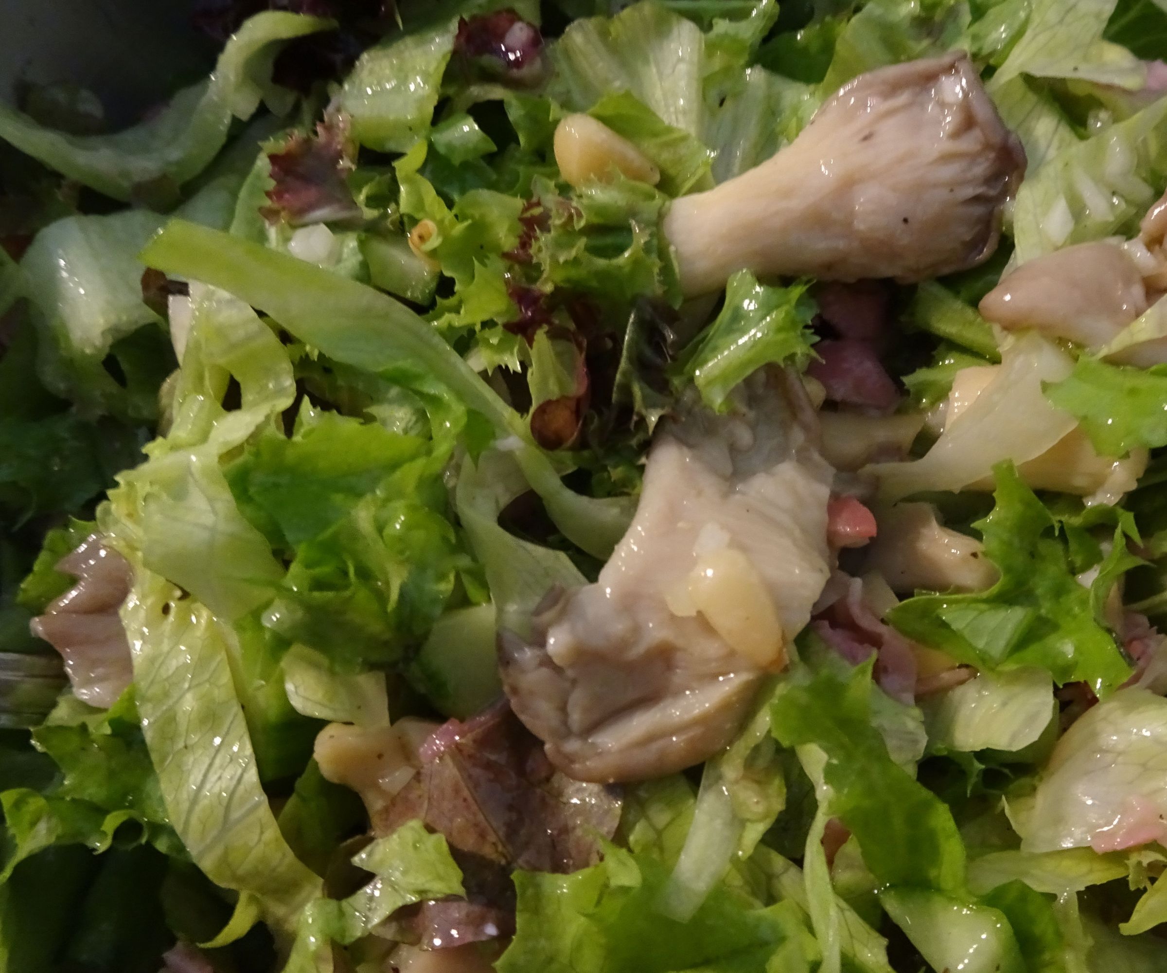 Oyster Mushroom Salad